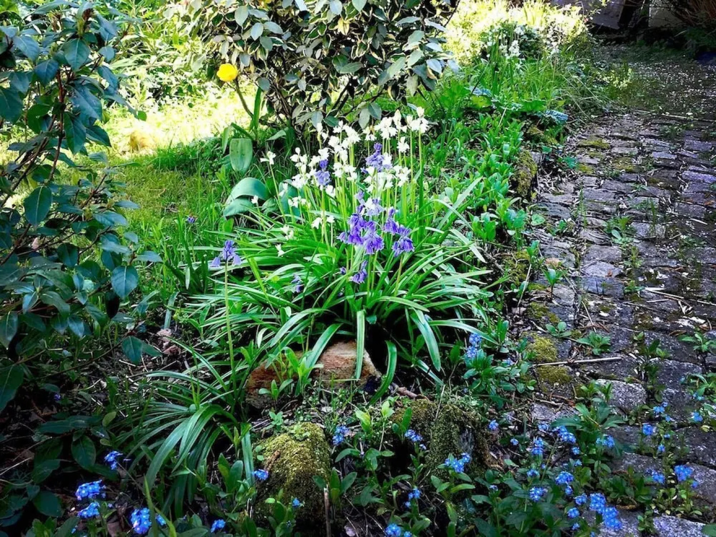 Le Jardin des Tortues