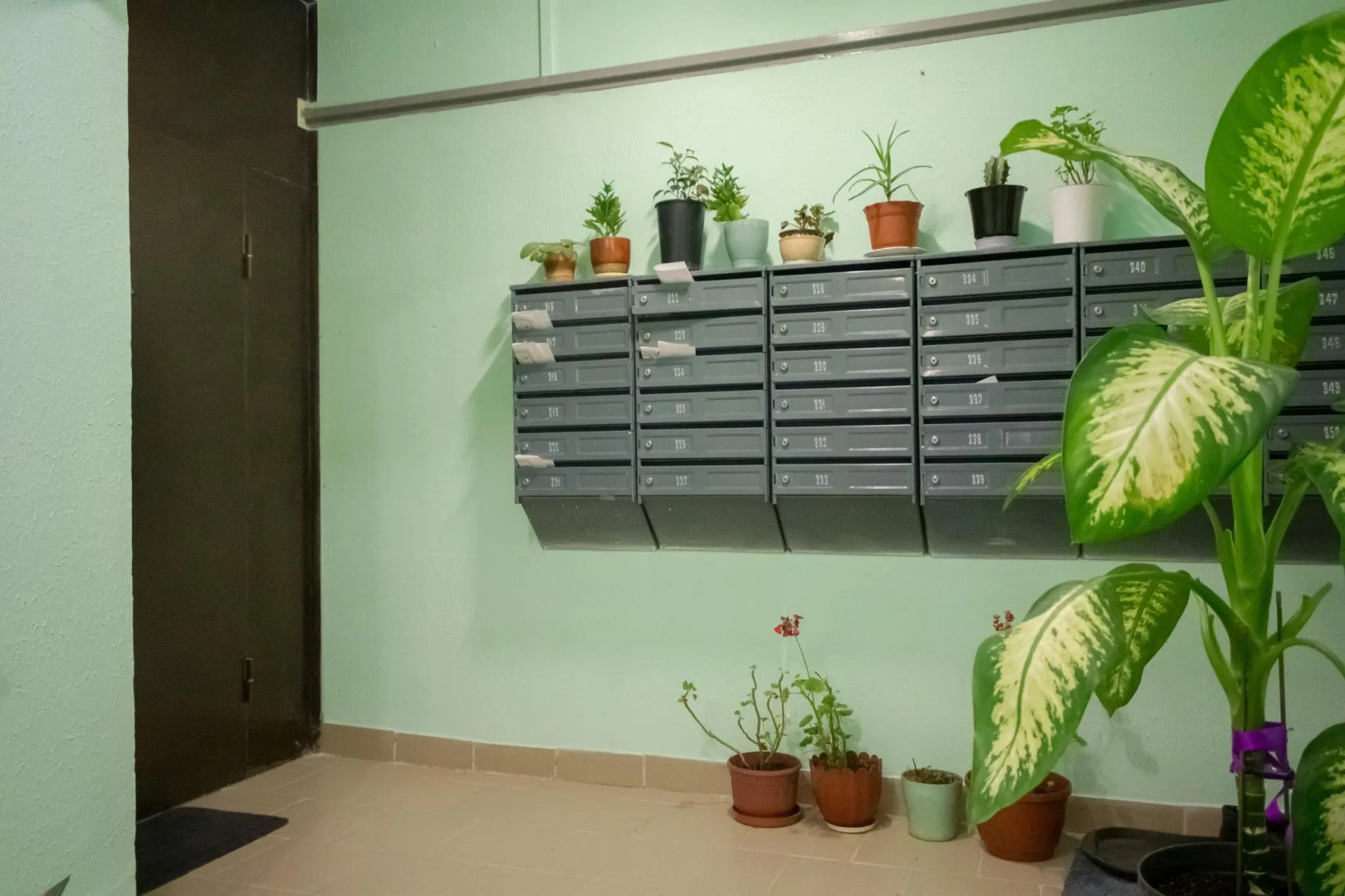 Studios Crocus (Студио Крокус) на Ильинском