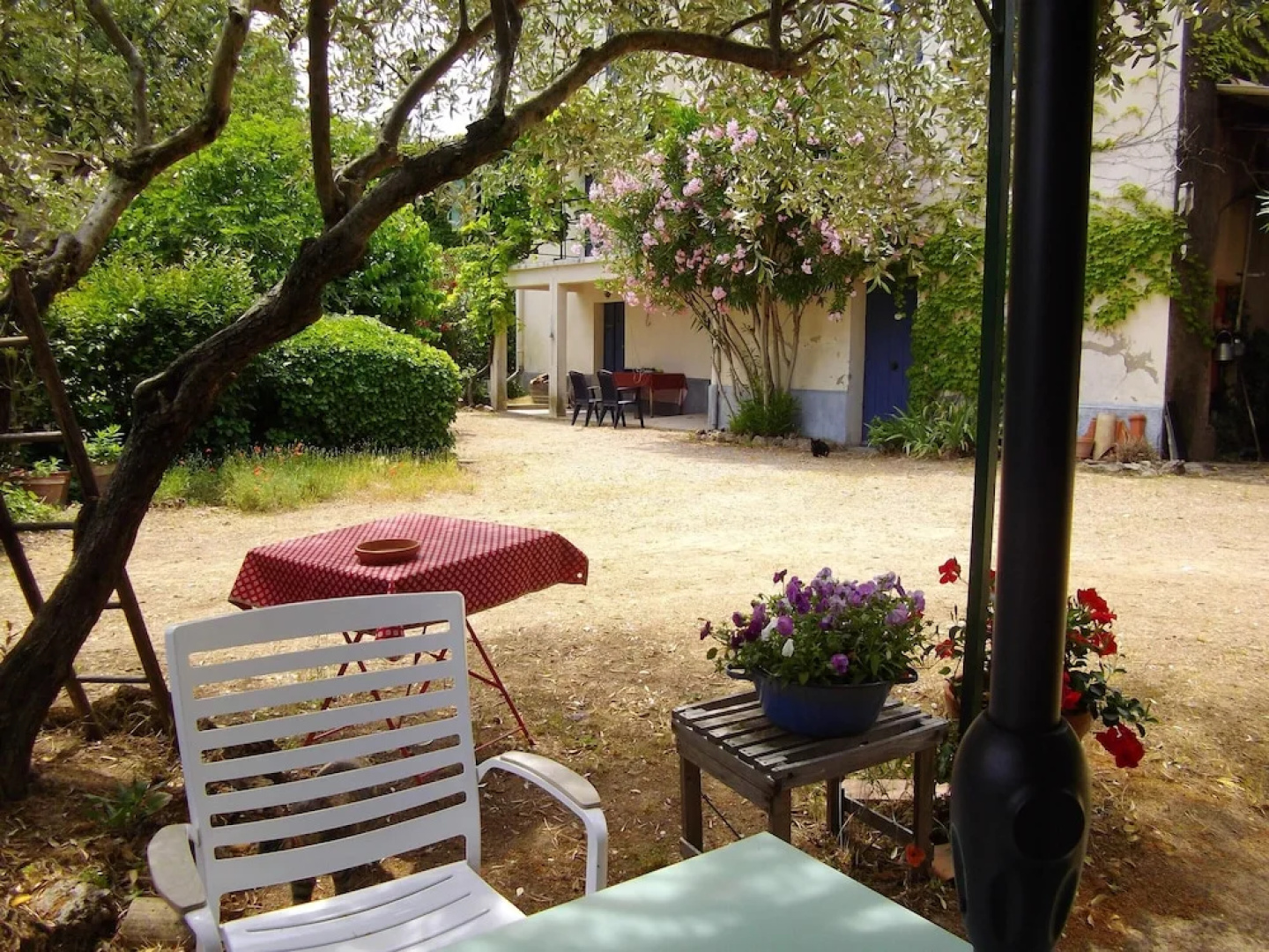 Apartment With one Bedroom in Les Arcs sur Argens, With Furnished Gard