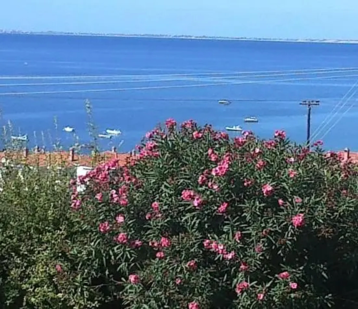 Yianna Studios & Apartments