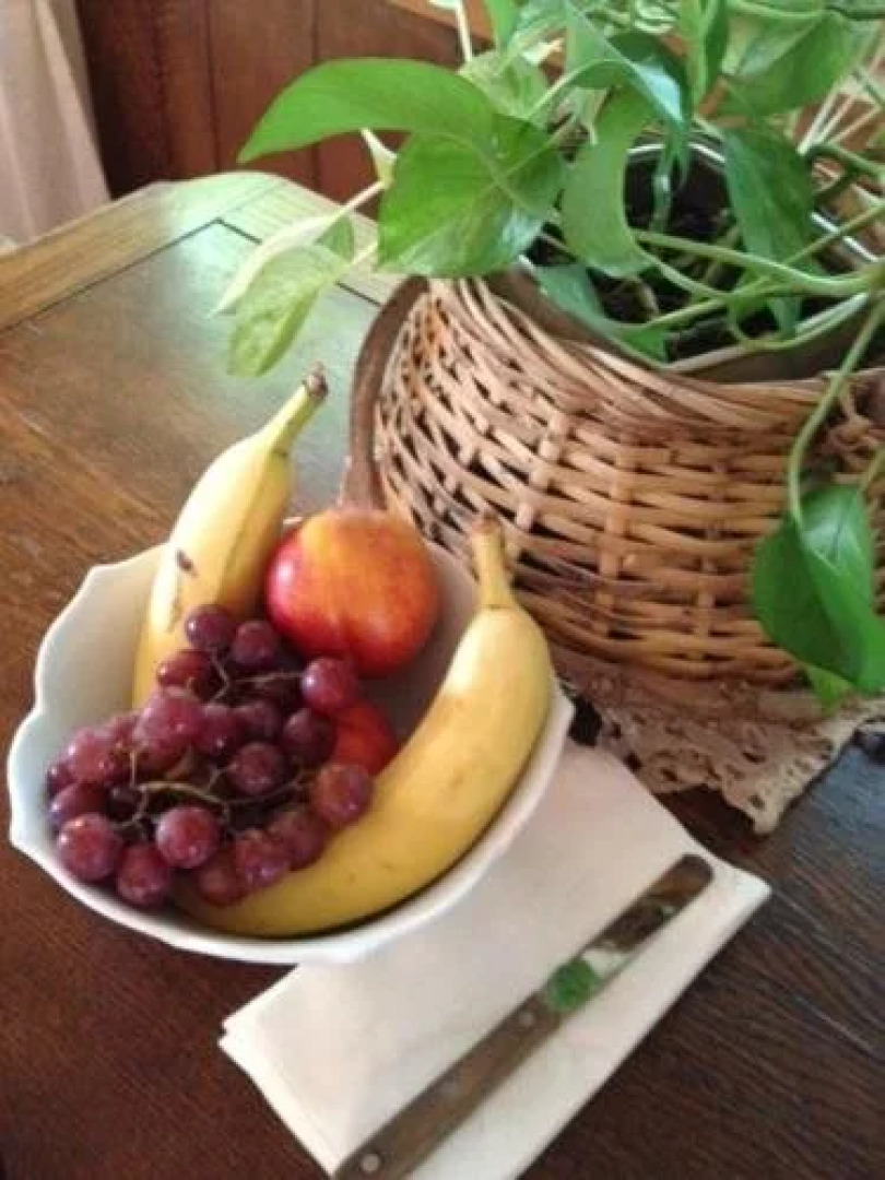 Judys Bed and Breakfast