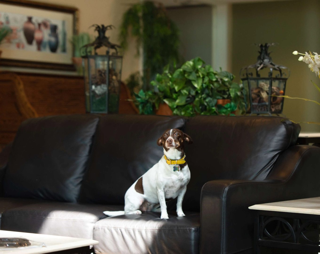 Oxford Suites Yakima