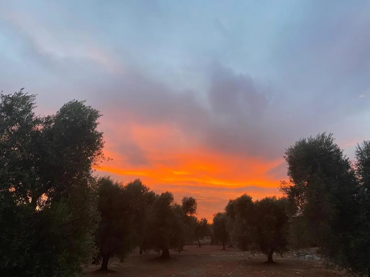 Trullo Alessandro e Villa Raffaela