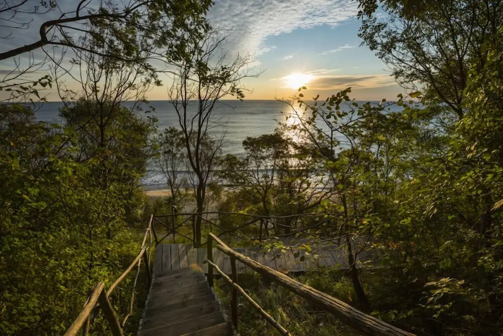 VITA RAMA holistic hotel - vegan FB