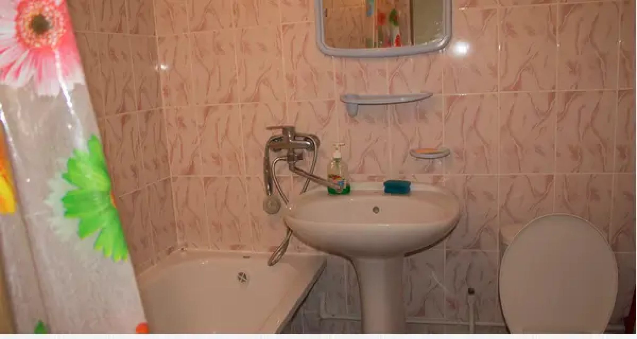 Домашняя