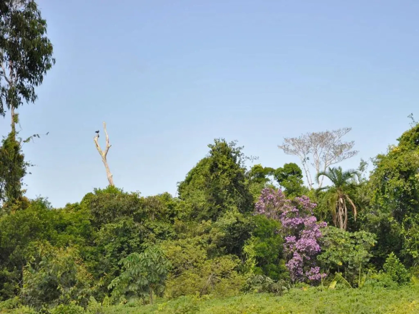 Village Mata Encantada