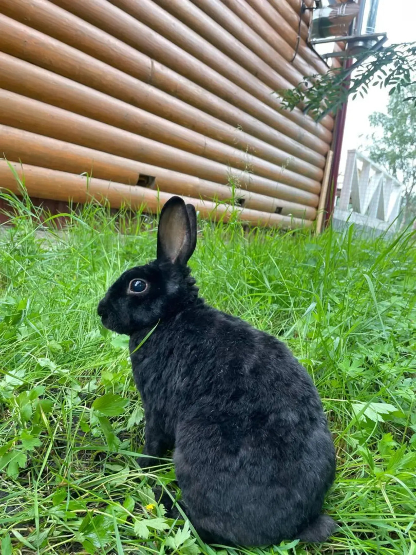 Семейно-туристический загородный клуб Карамелькино