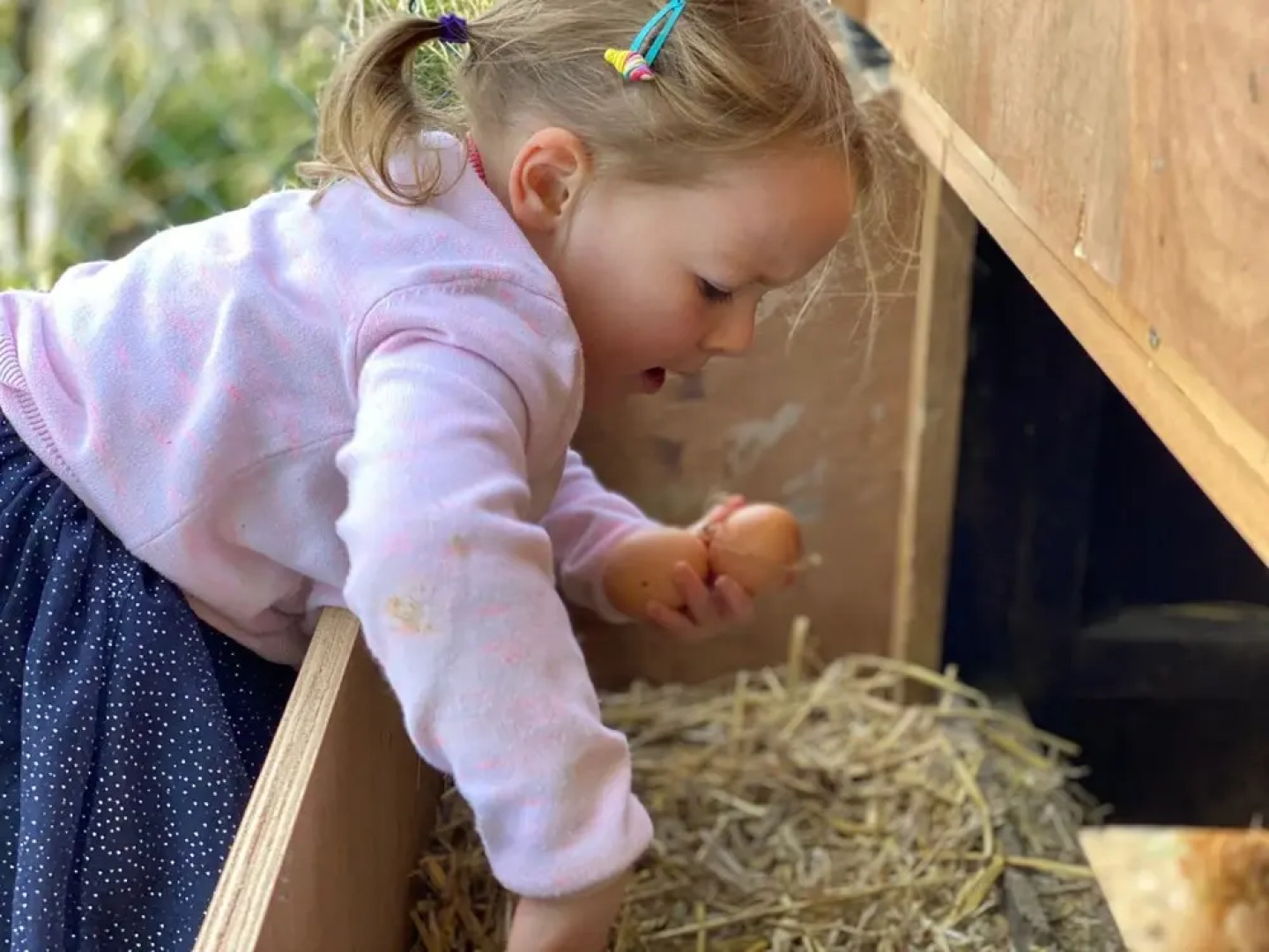 The Chestnuts Holiday Cottages