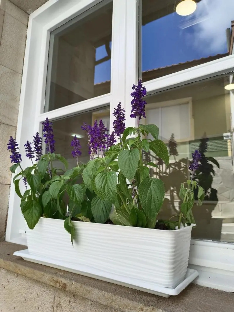 Hotel Posada del Mar