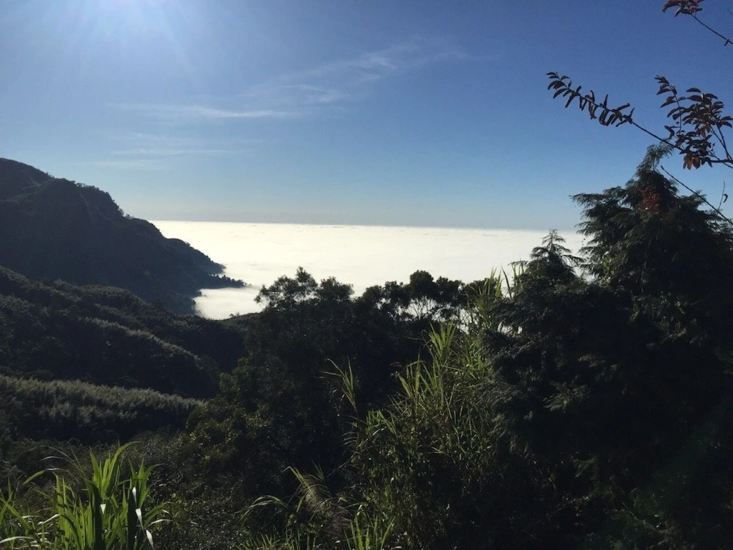 Tea Cloud Guest House