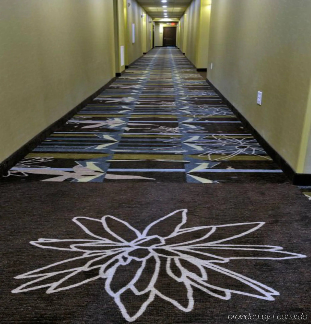 Staybridge Suites St. Petersburg Downtown by IHG