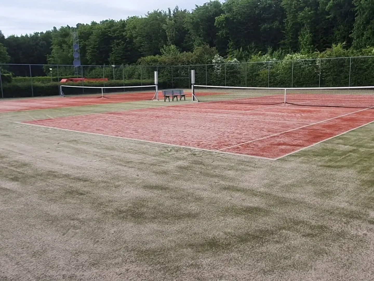 Family Home in Zeewolde by Forest Trails