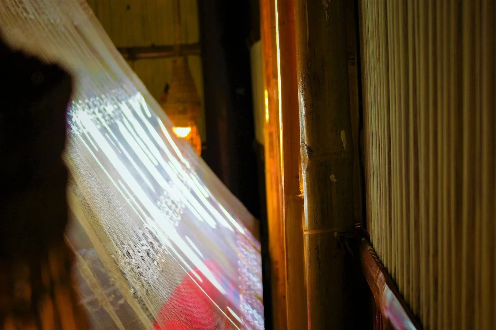 Under the coconut tree - Hostel