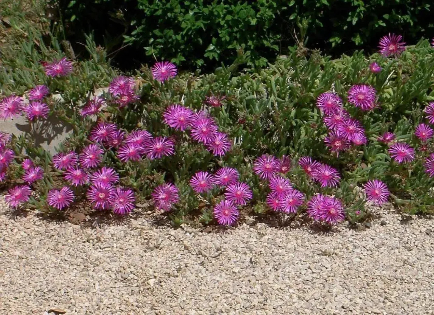 Seaside Vacation Rental 4Tuna