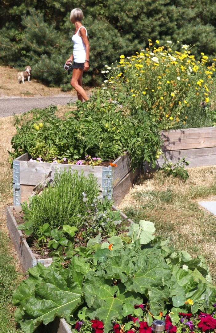 Sanddobberne Camping