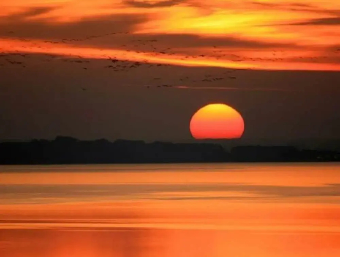 Haus Melody Comfortable Holiday Residence