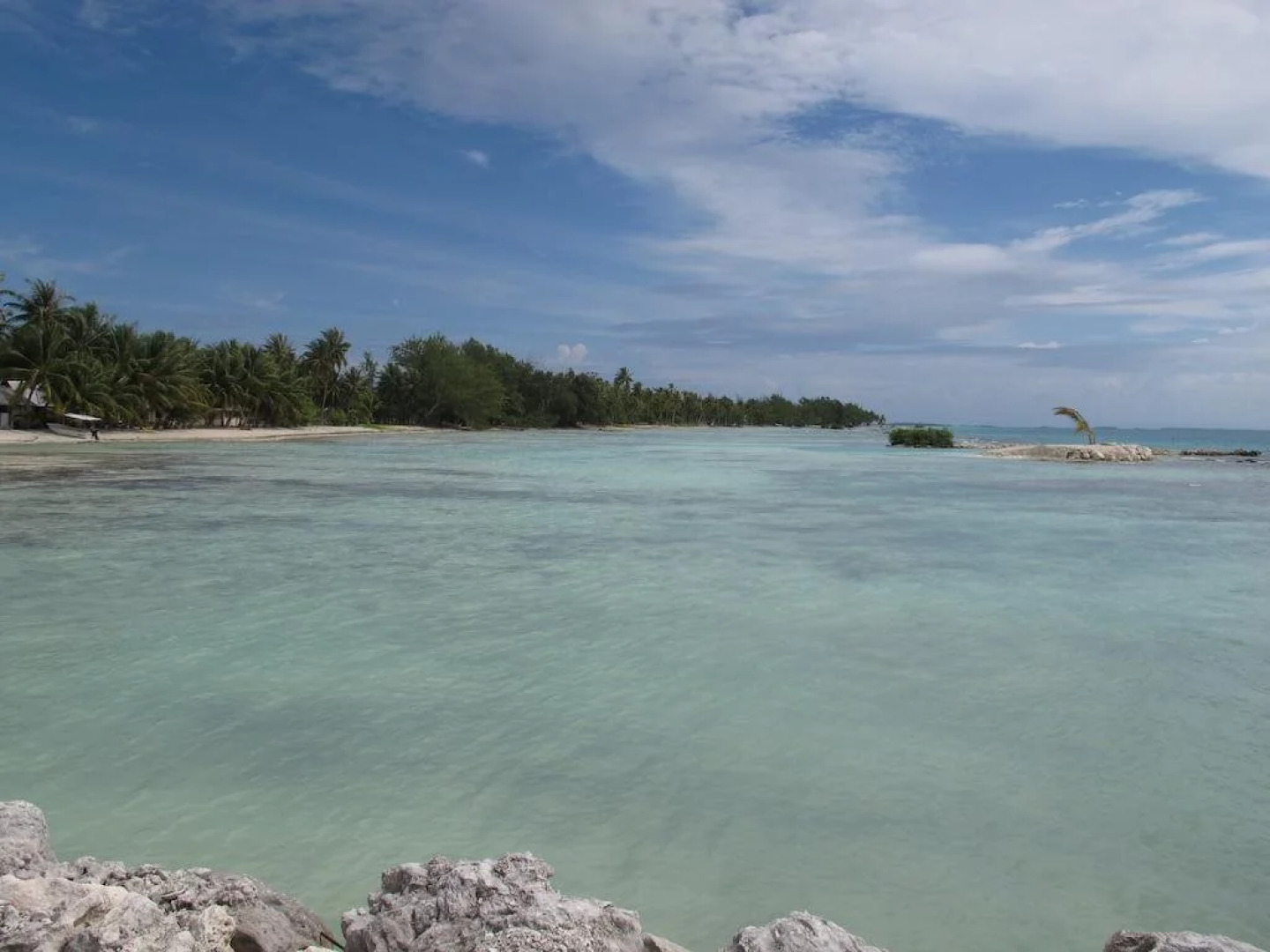 Tikehau Bed and Breakfast