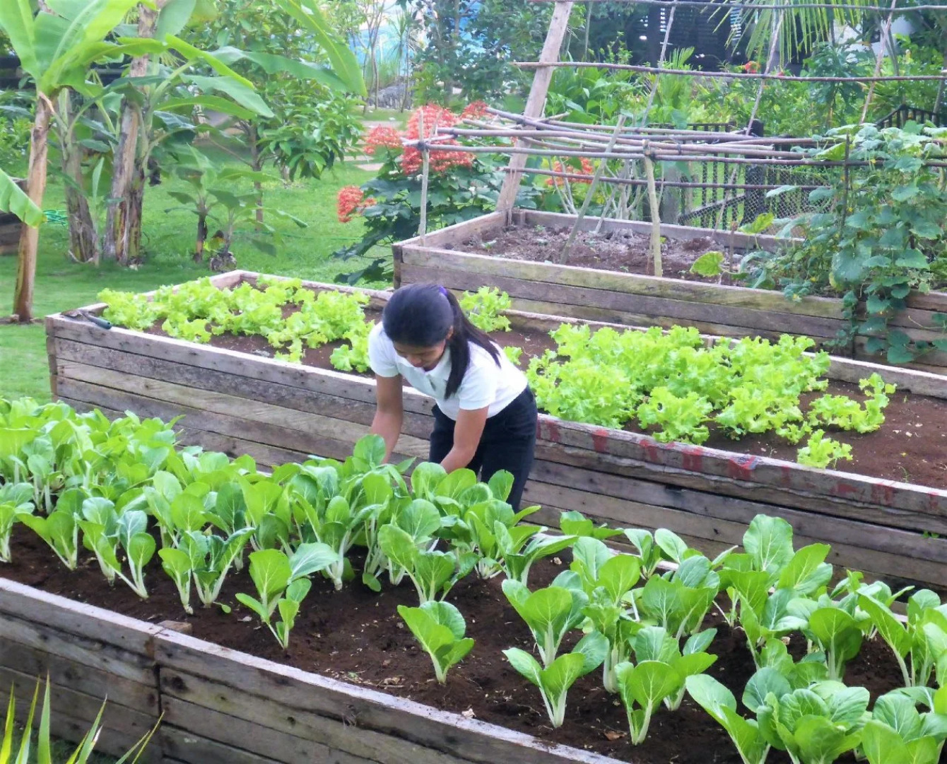 Island View Beachfront Resort