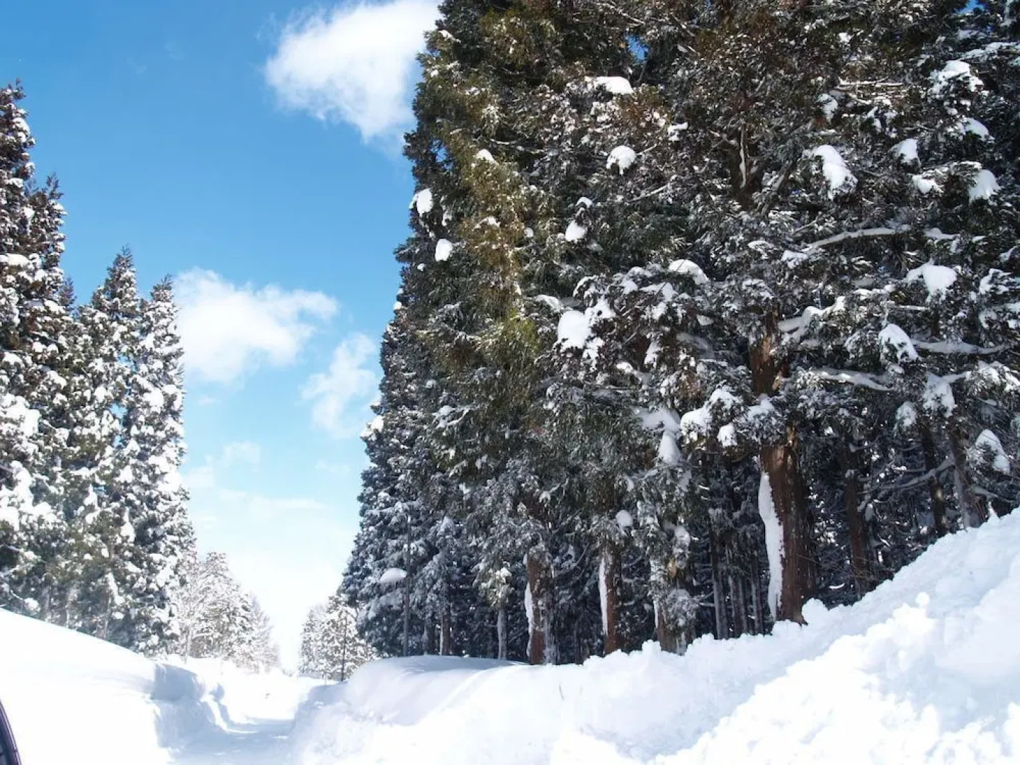 Woody House Kazamidori