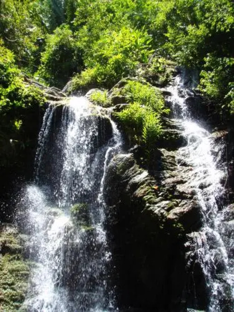 Roland's Garden Guesthouse