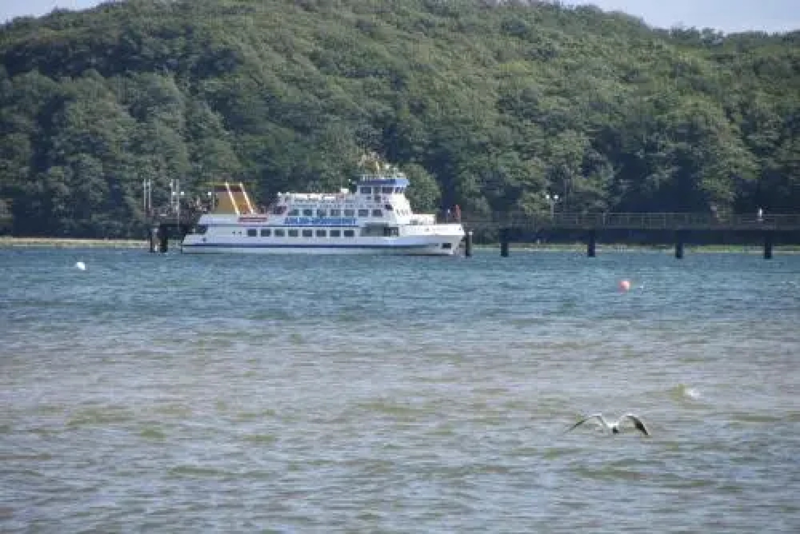 Dünenpark Binz - Düne 11 Apartment 89