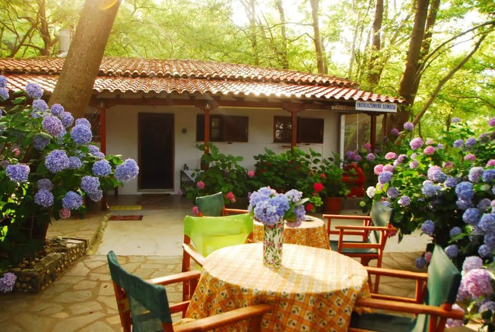 Tasoula Parselia Studios