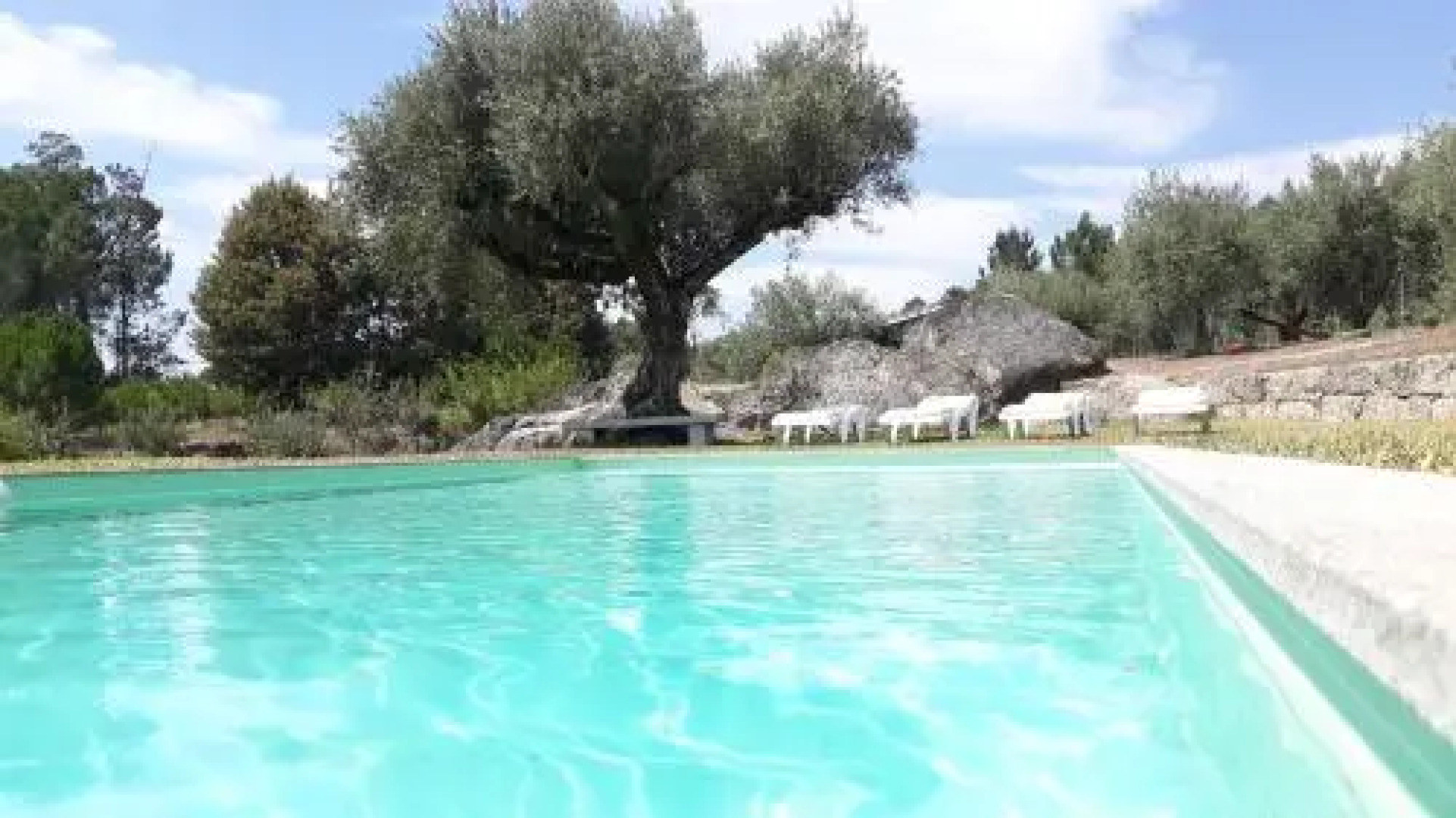 Quinta da Pedra Mija