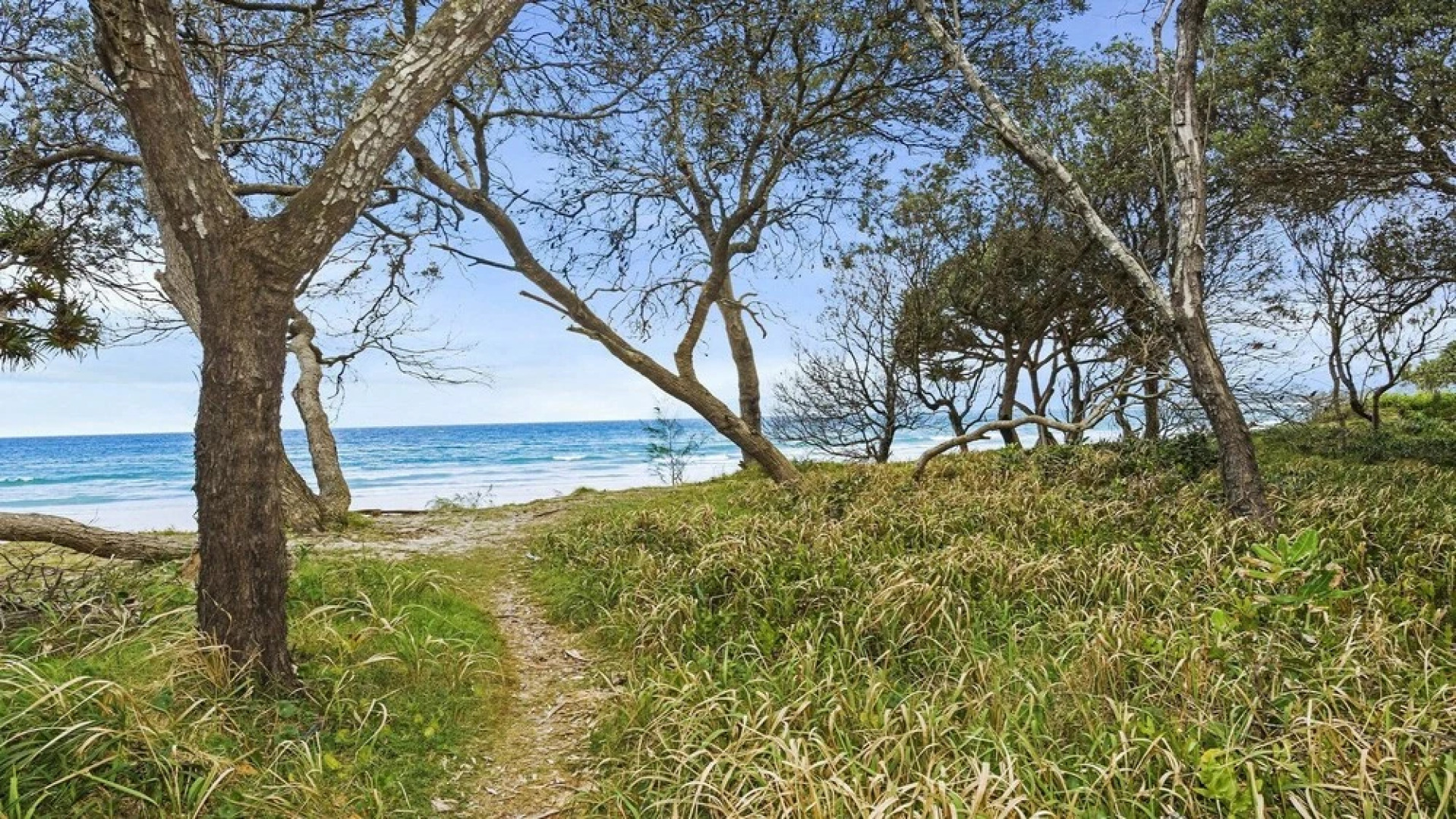 Orient Lane on Kingscliff Hill