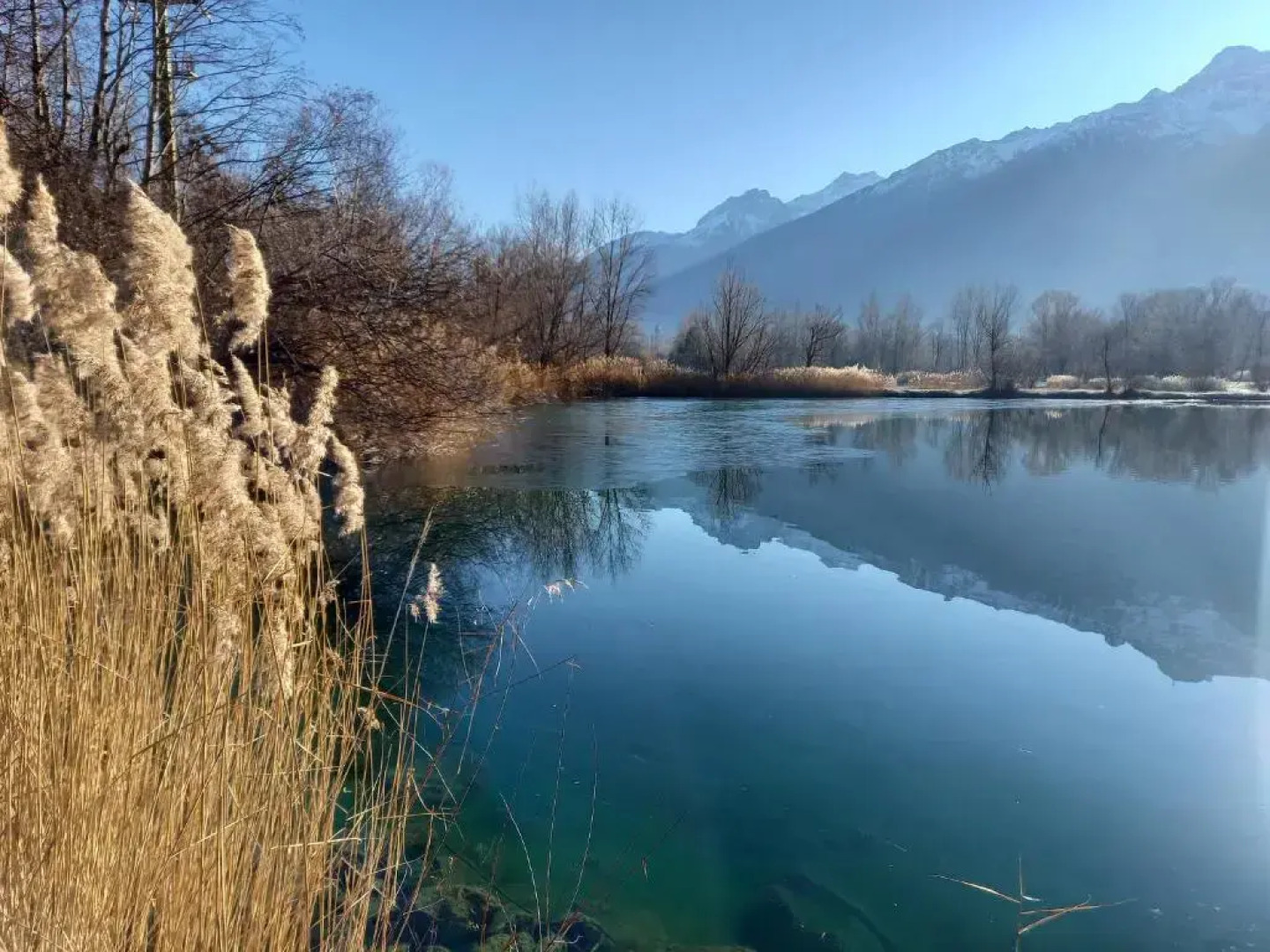 Pferdehof Ansteingut