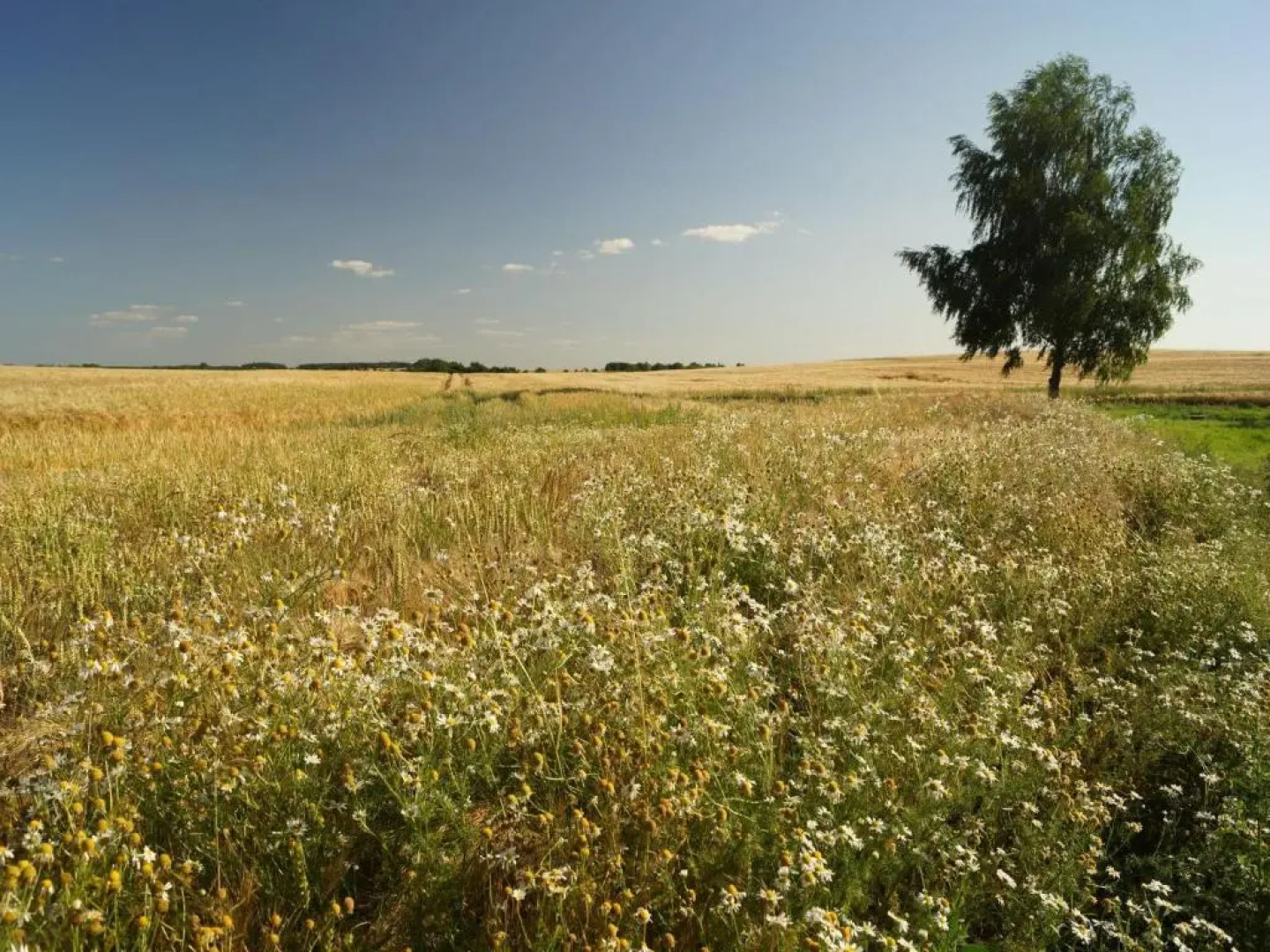 Raminorca Hotel-Pension