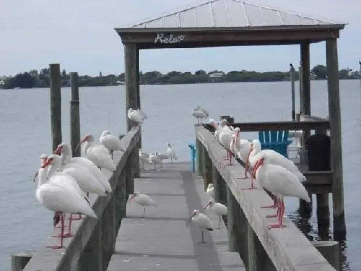 Paradise Cove Unit 5