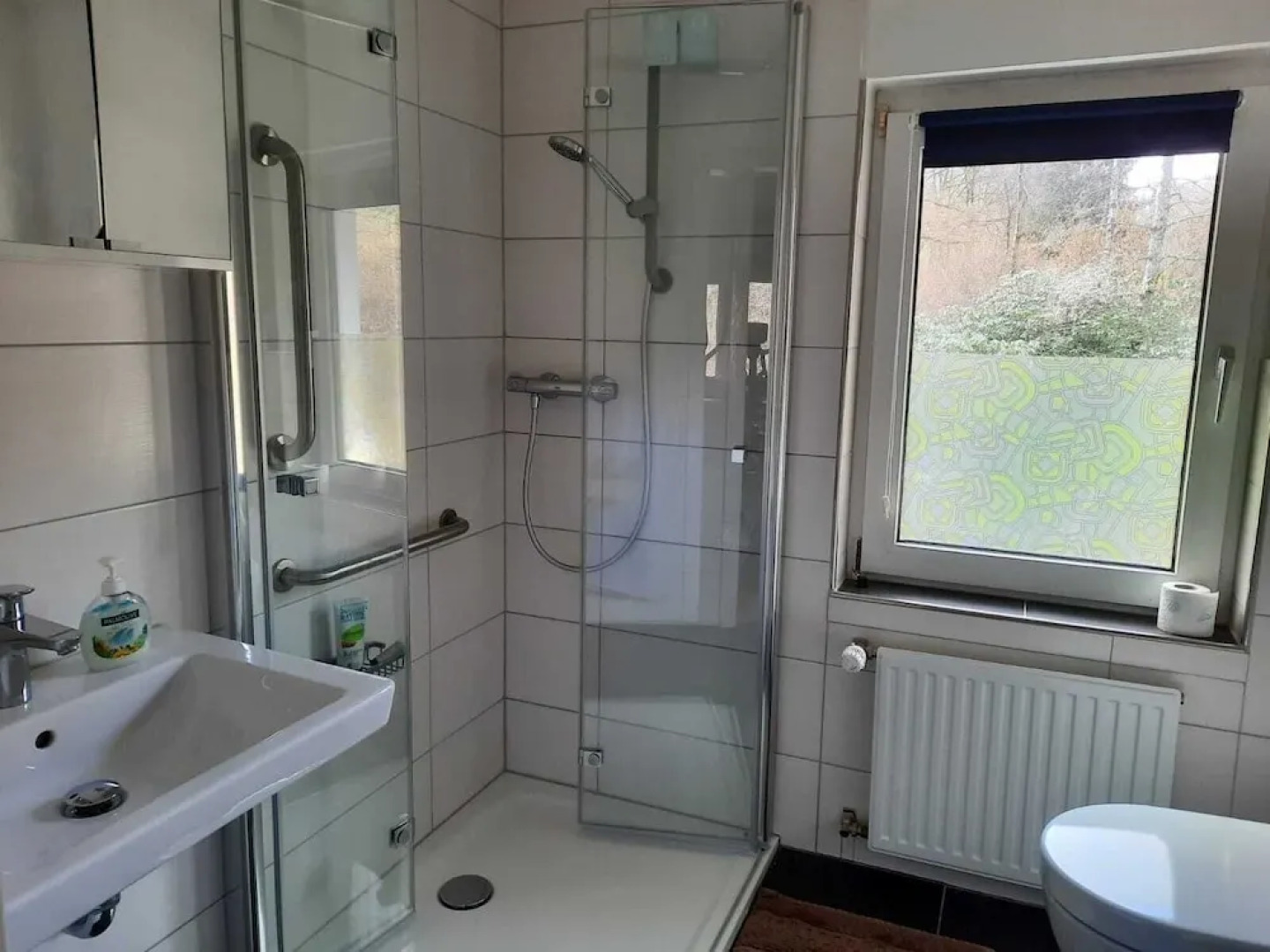 der Englische Garten