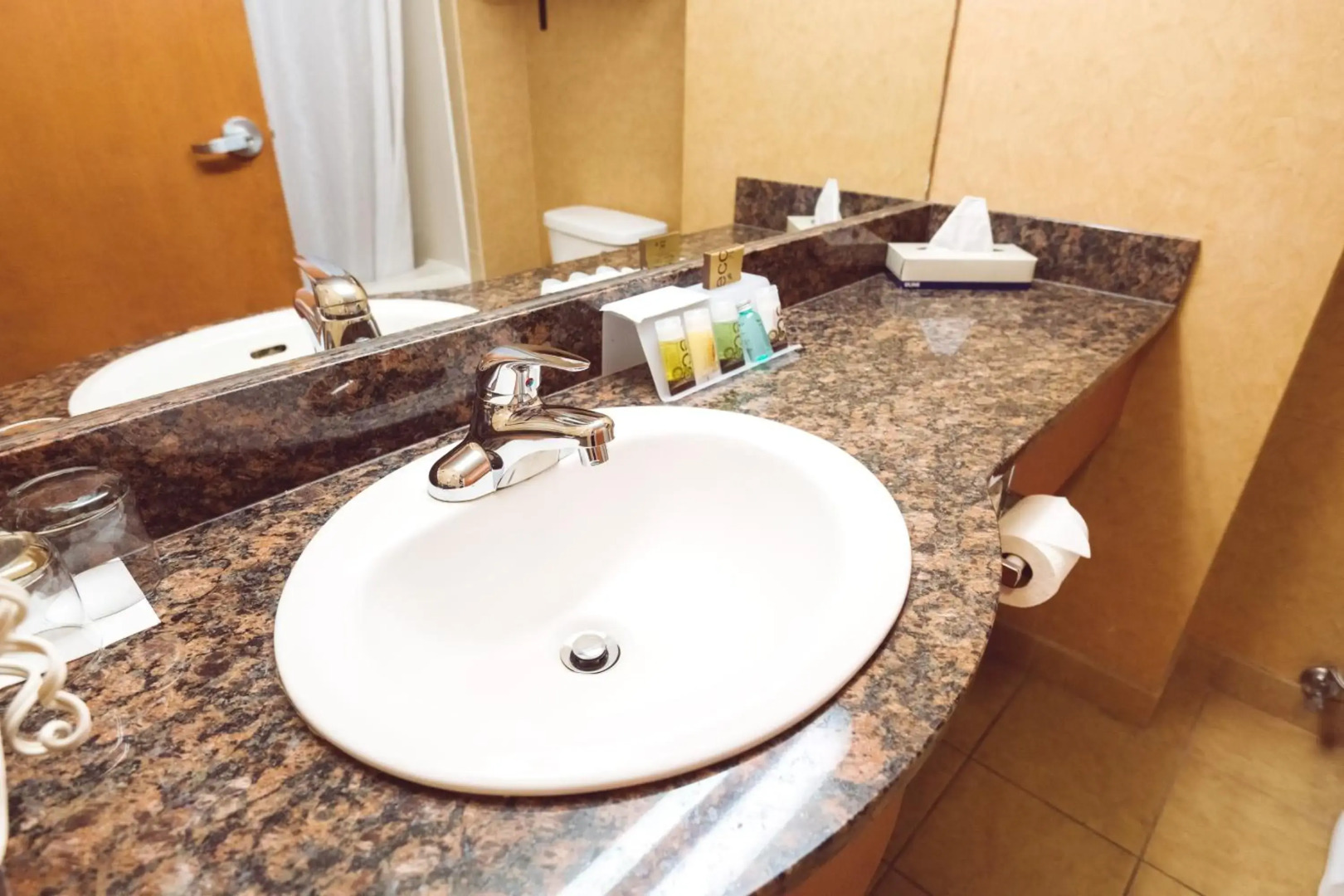 Rosslyn Inn and Suites