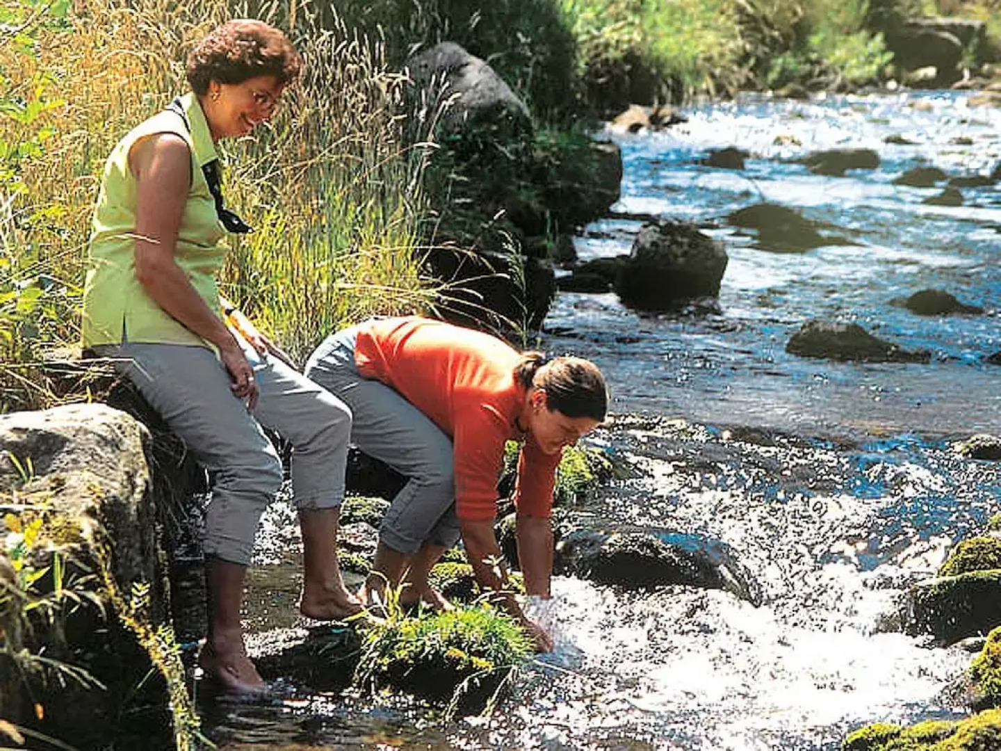 Aparthaus Schönblick