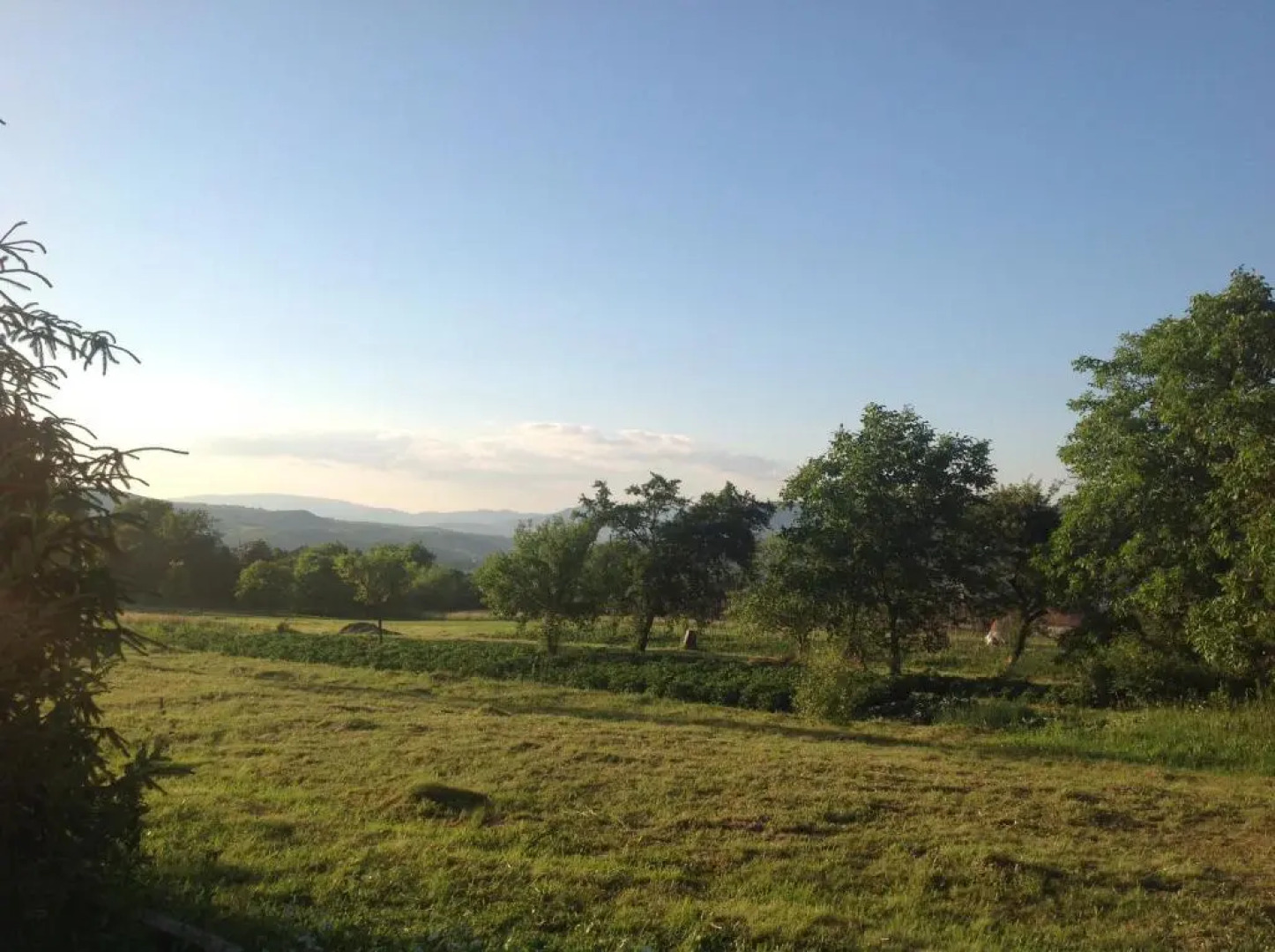 Vip Sadyba Svalyava Apartment