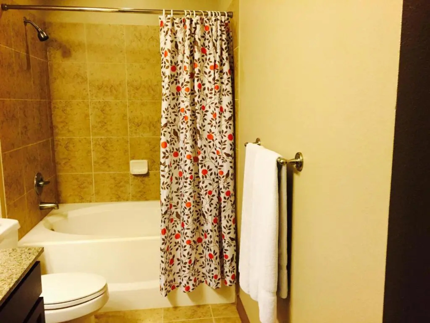 Resort Style Apartment/Home - The Woodlands