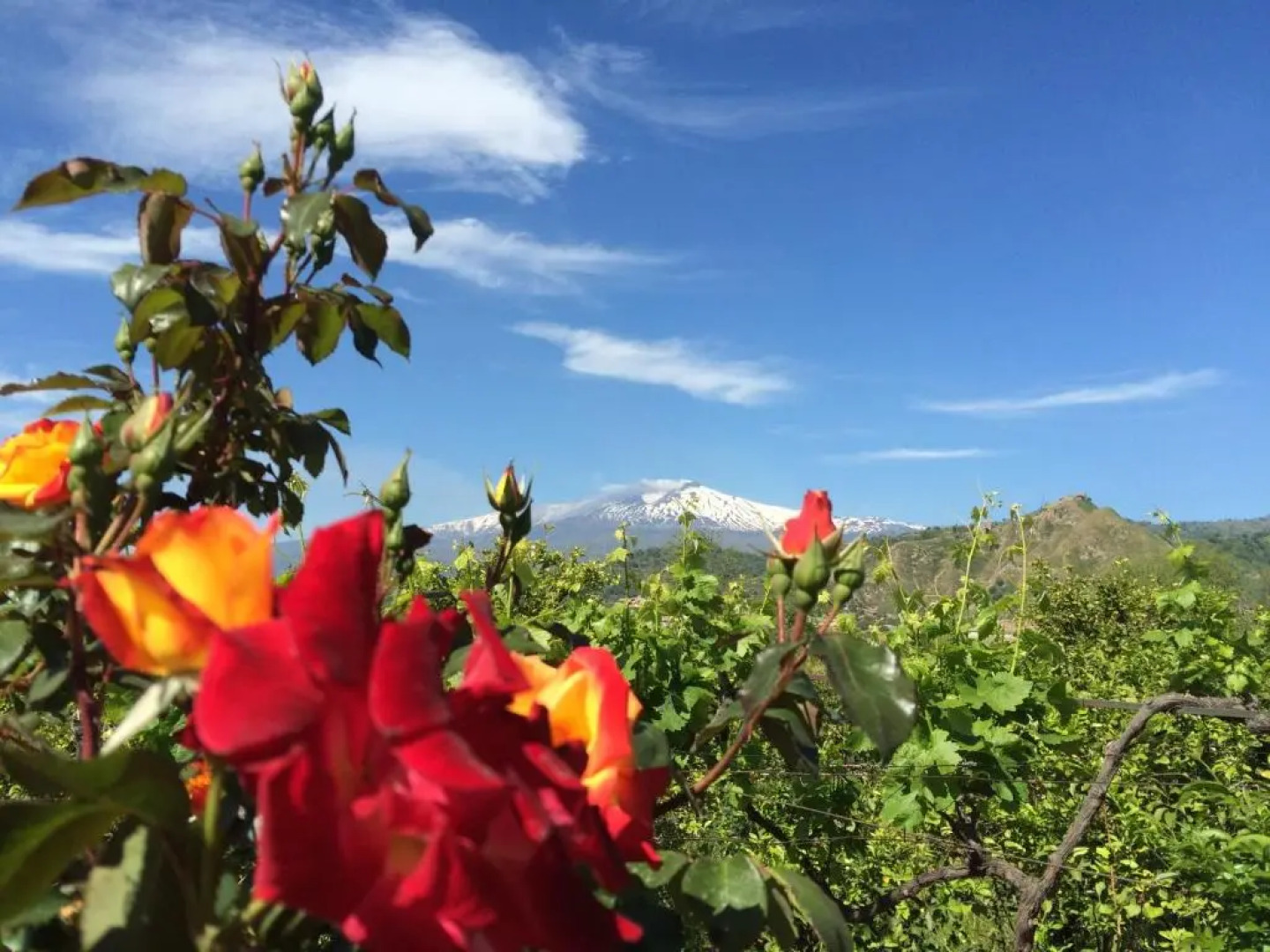 Il Giardino Segreto B&B