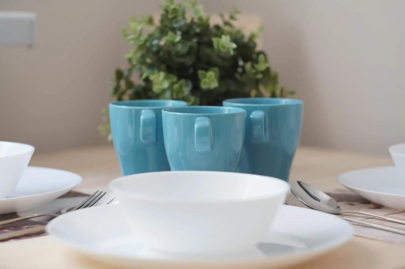 Диван и Чемодан на ул. Коммунистическая, 26