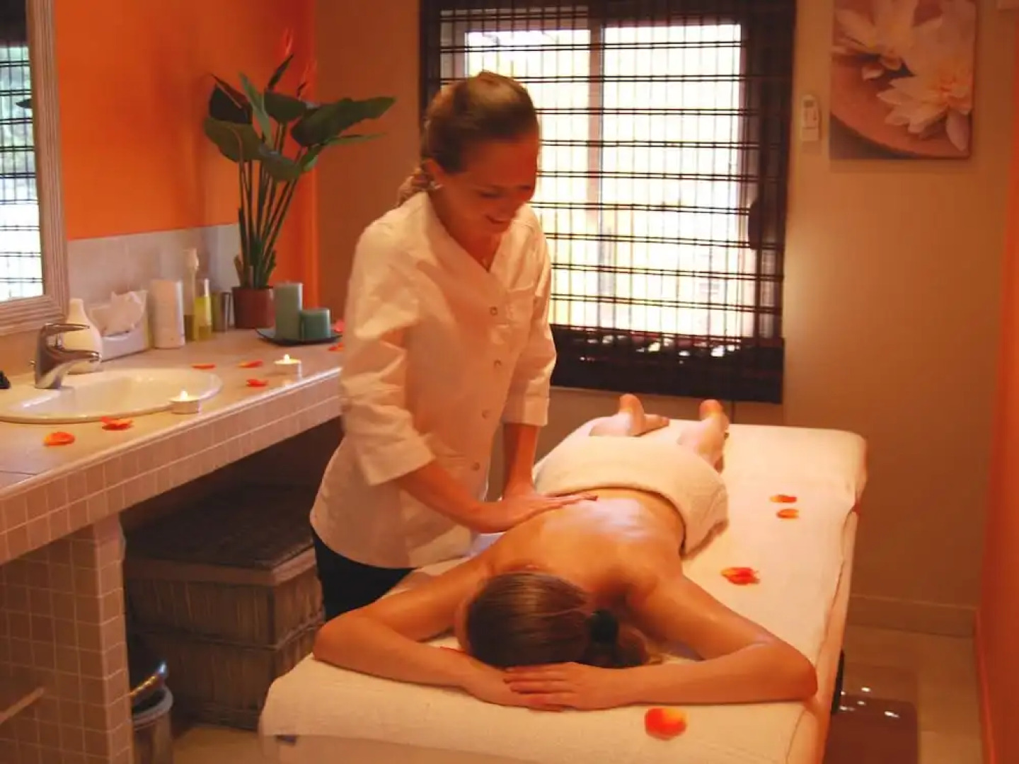 Cozy Cottage With AC, Located in the Beautiful Provence