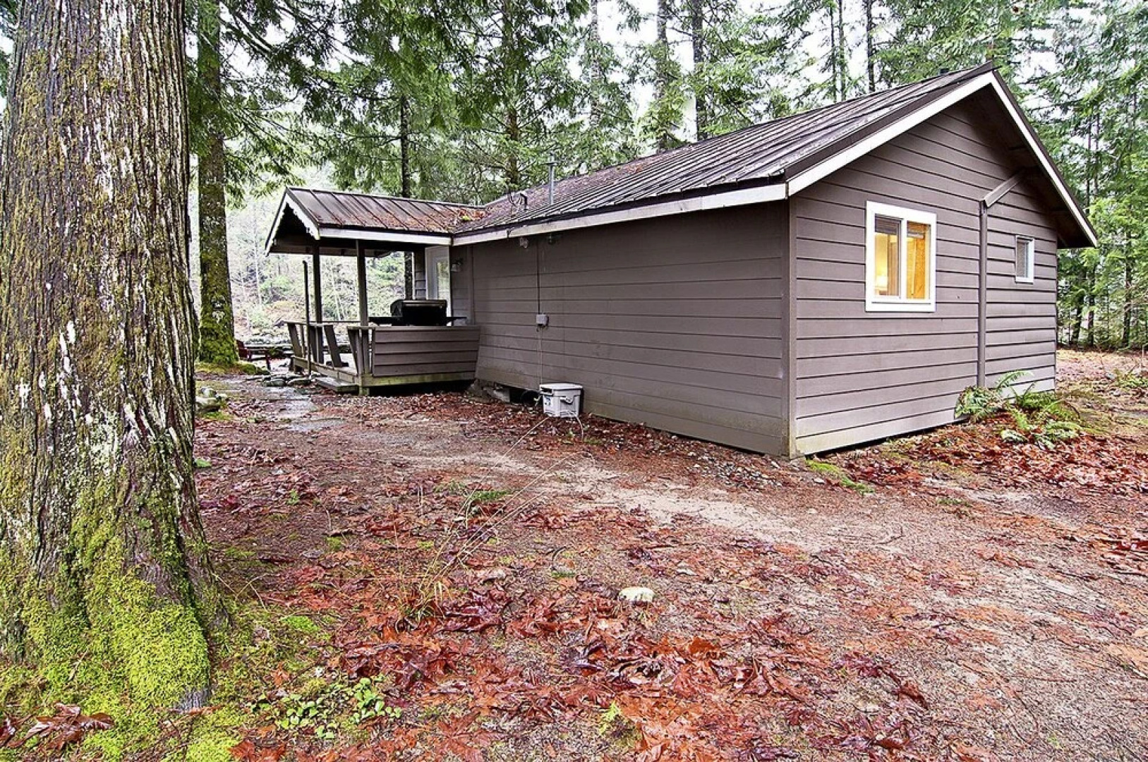 Wild Sky Escape - One Bedroom Cabin with Hot Tub