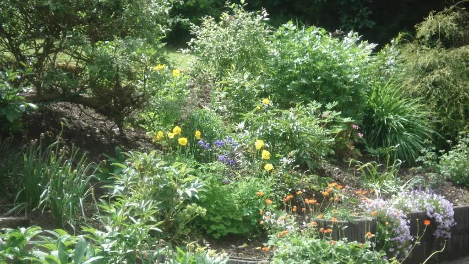 Pension Sonnenschein