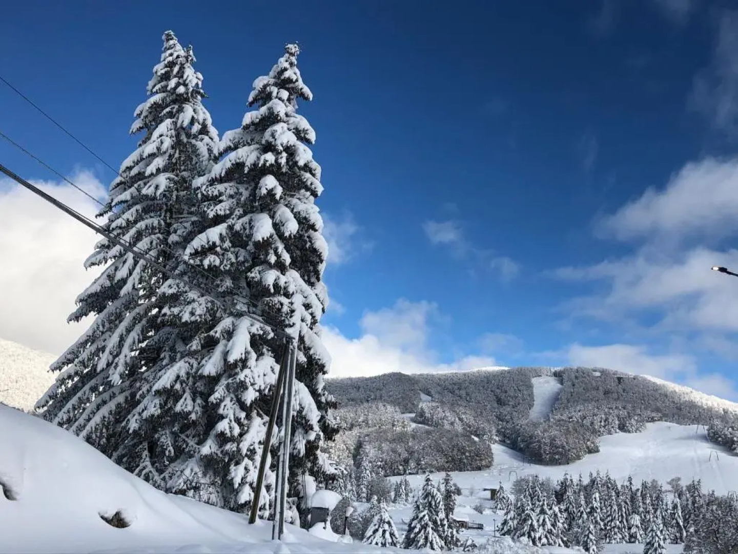 Il Bosco e Il Borgo Guest House Subiaco