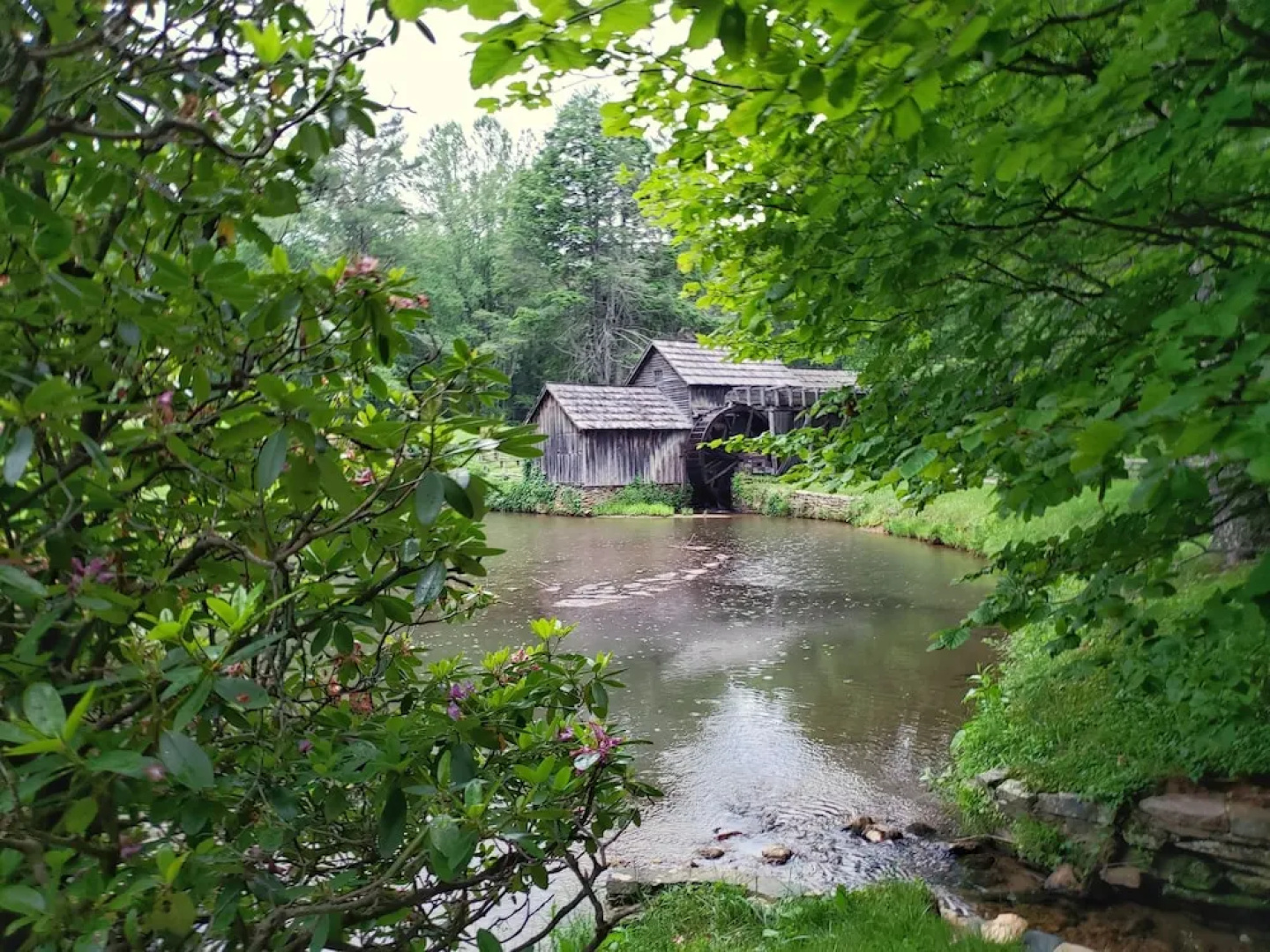 Blue Ridge Manor B&B