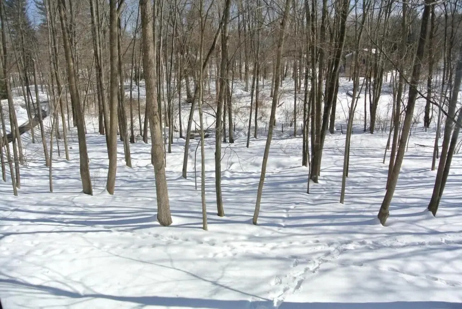 Lush Designer Retreat on Pond Near Rhinebeck