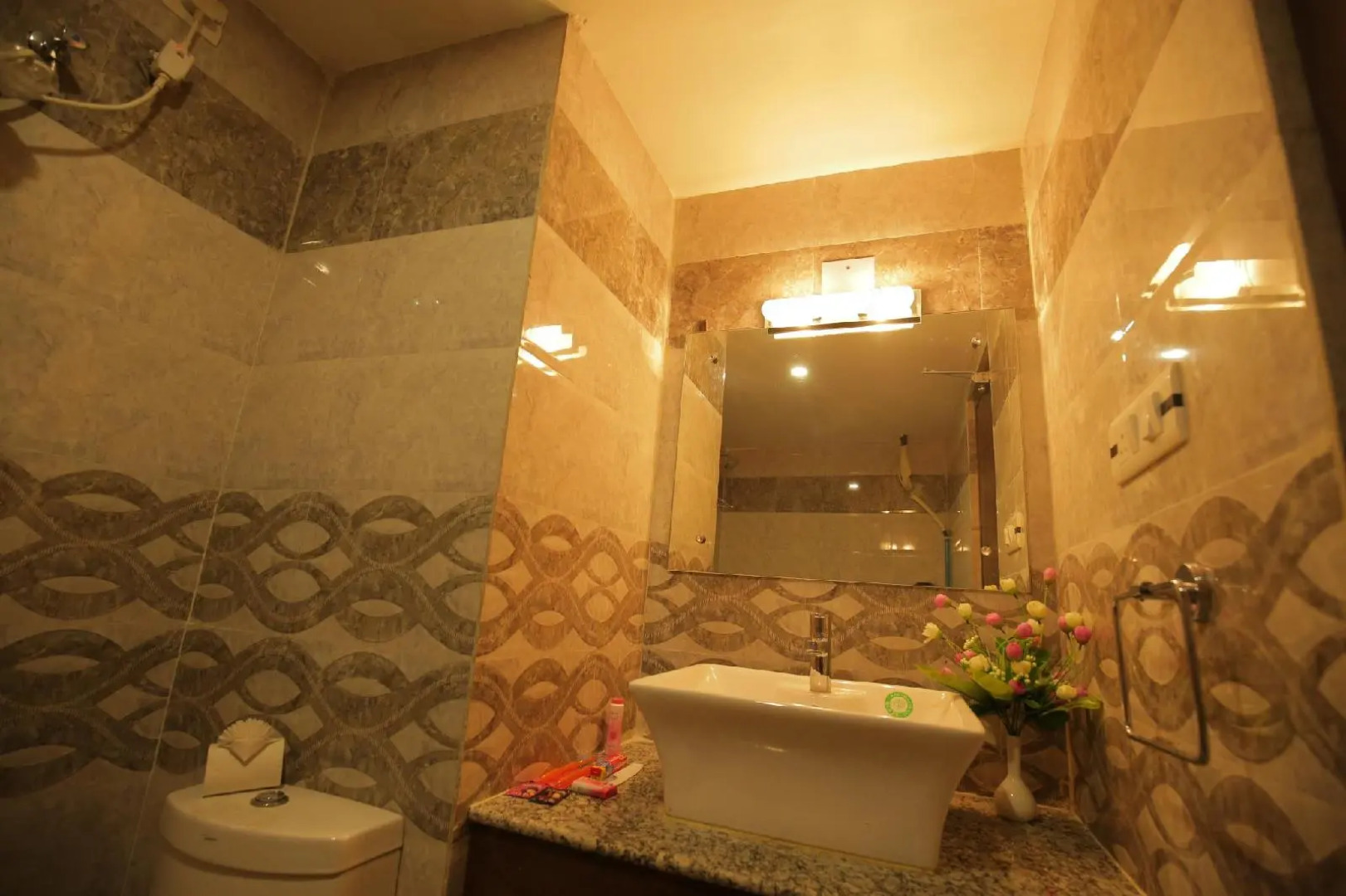 Hotel Balaji International