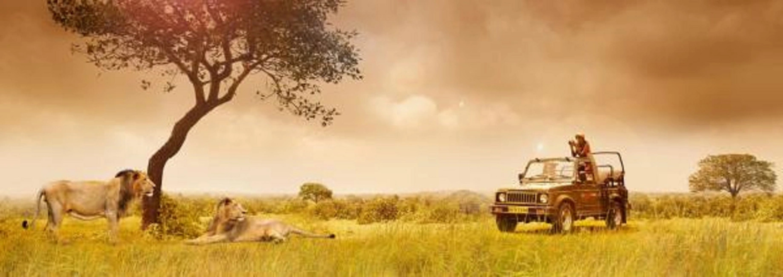 Gir Serai - IHCL SeleQtions