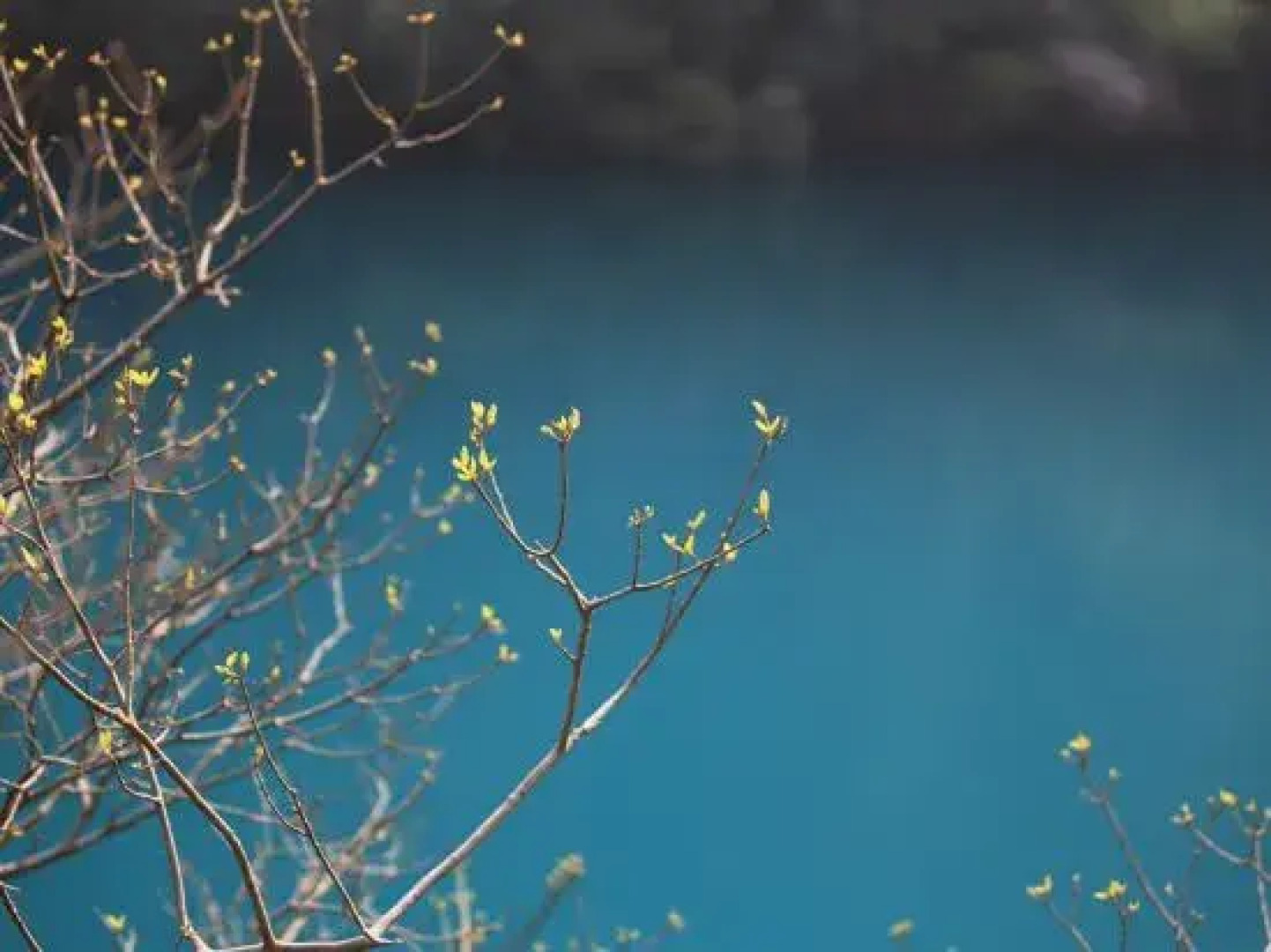 Mogan Guyue Guesthouse