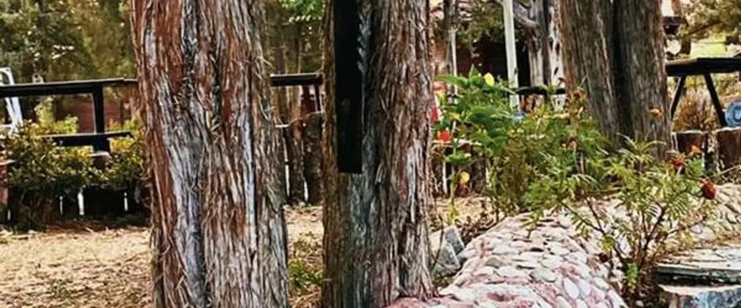 Harmancık Eko Turizm Tesisleri