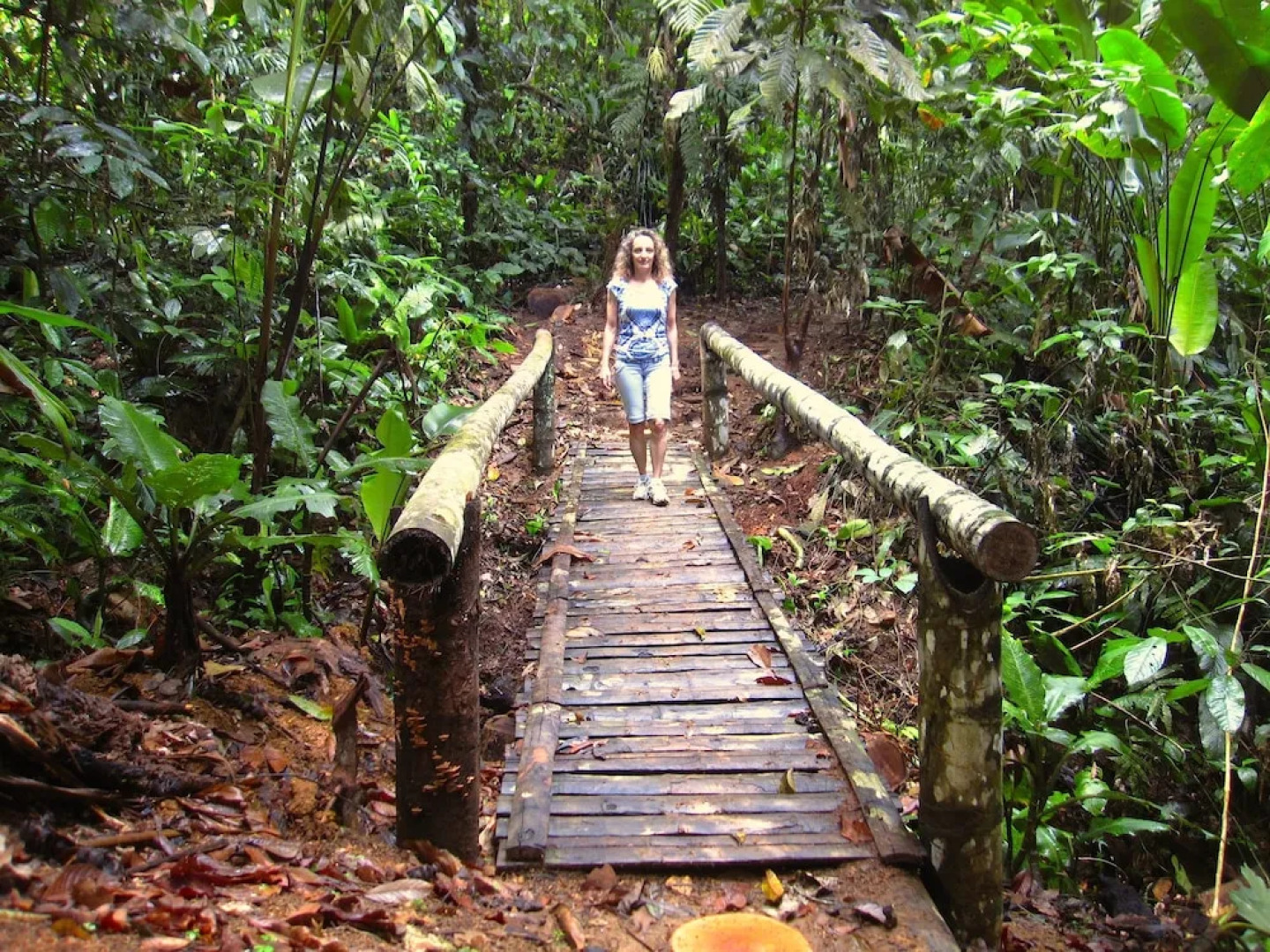 Samasati Yoga & Wellness Retreat