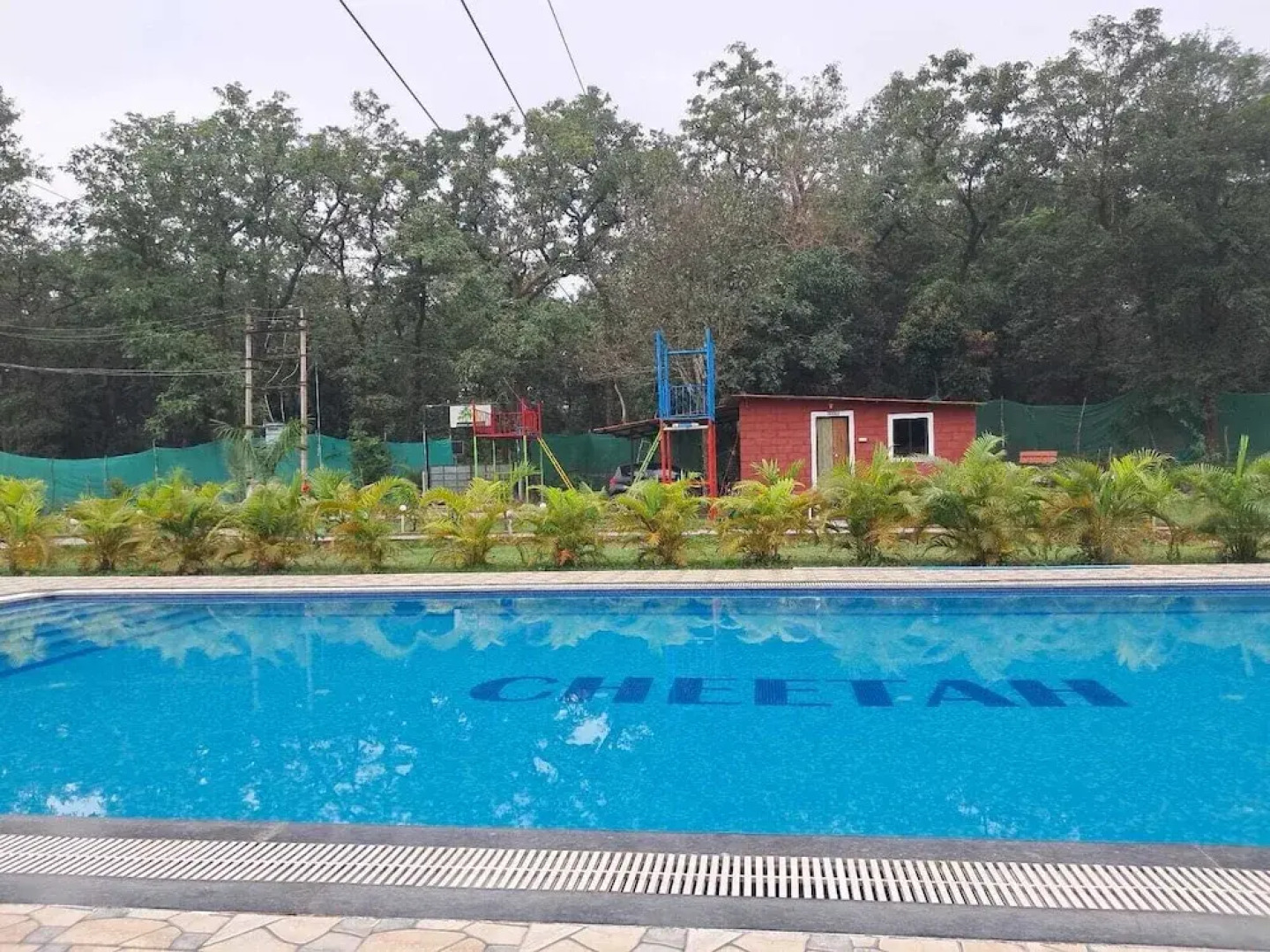 Cheetah Farms Jungle Stay